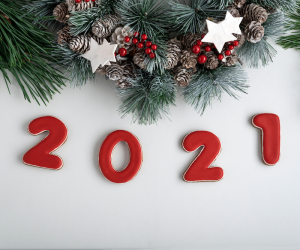 Read more about the article 2021 Wrap-Up