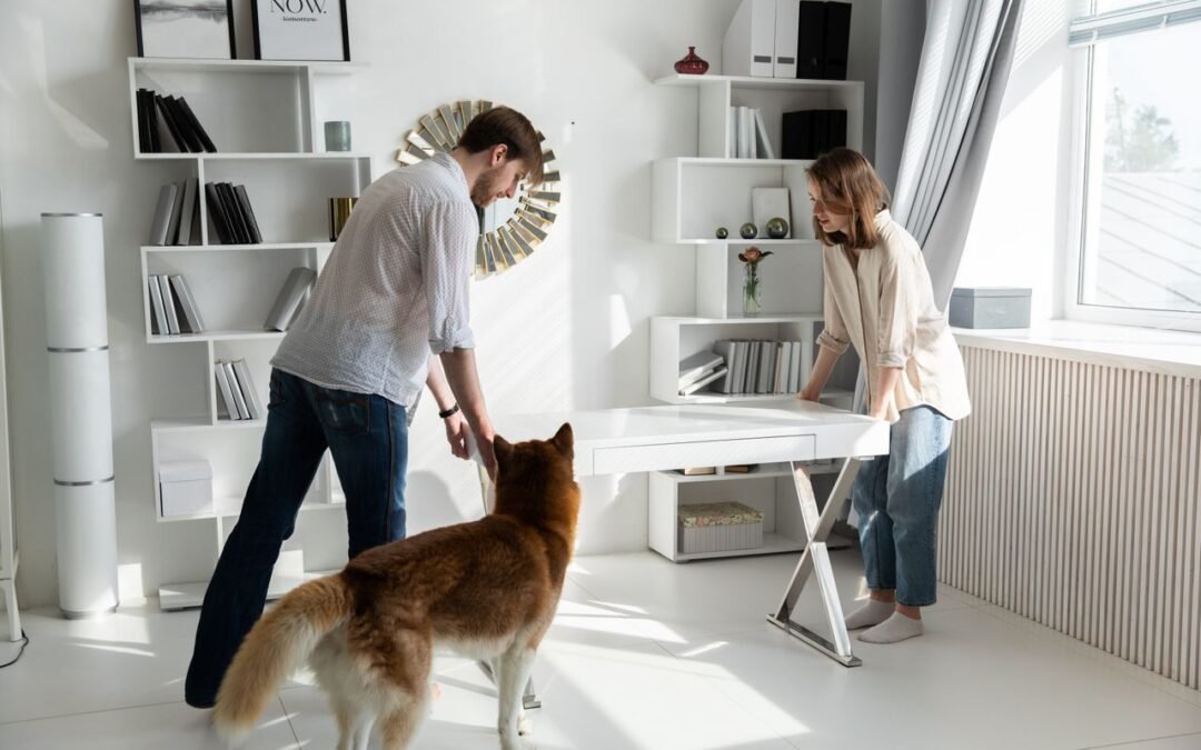 How Do I Create A Dog-Friendly Remodel In Discovery Bay?