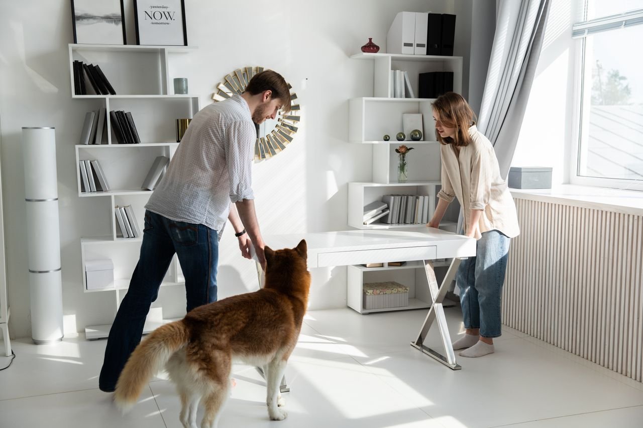 Luxury, Green, or Specialized Remodels